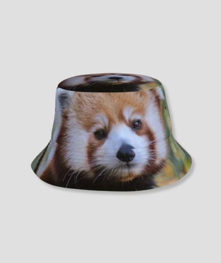 Casquette-seau « Raton laveur ».png