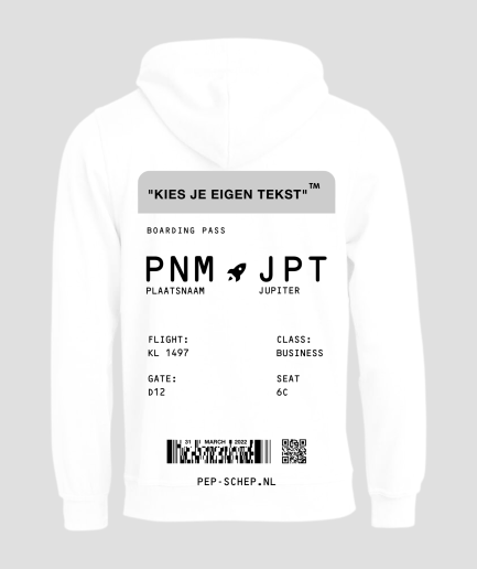 sweat-à-capuche-boarding-pass-blanc-et-gris-vêtements-festival-tenue-de-festival-boutique-de-vêtements.png