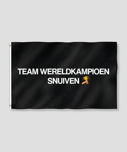 camping-drapeau-festival.png