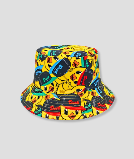 canard-avec-une-casquette-sur-un-chapeau.png