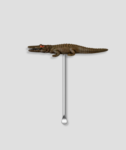 Blacka croc